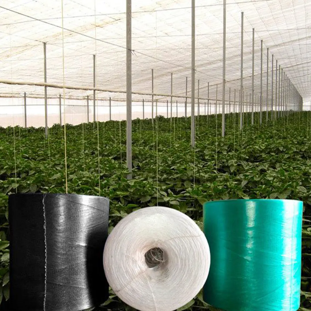 128.2 Rafia Tomatera