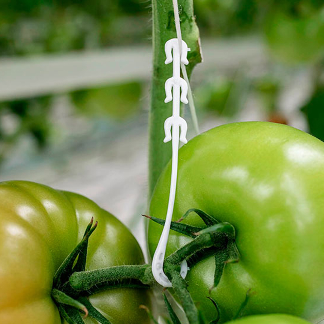 135. Gancho para Racimo